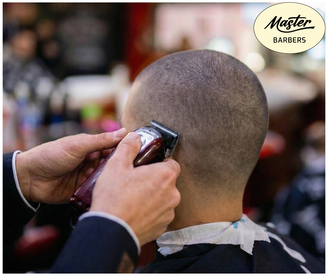 Preview Corte 1 Grado